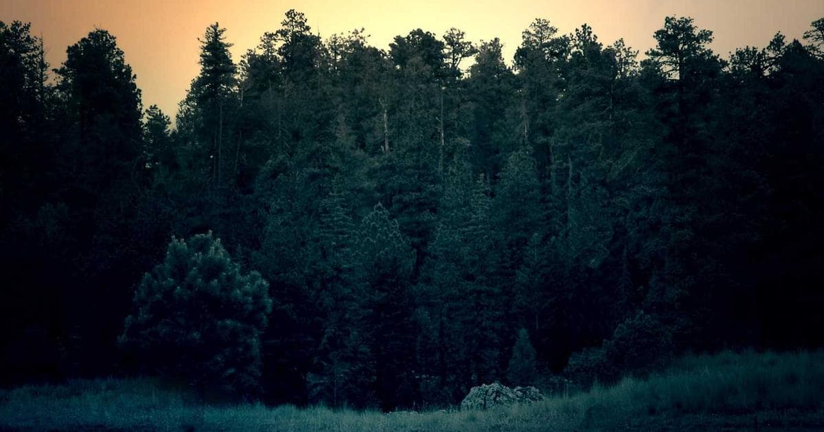 Iconic view of Orlando - Location Title Services