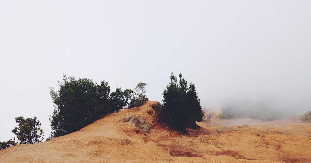 Underwater scene or waterfront property in Key Largo