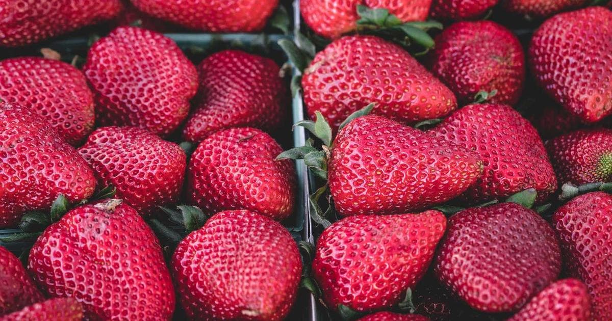 Secure escrow and real estate closing services