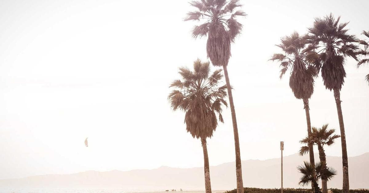 Magnifying glass over a property document, resolving a title defect.